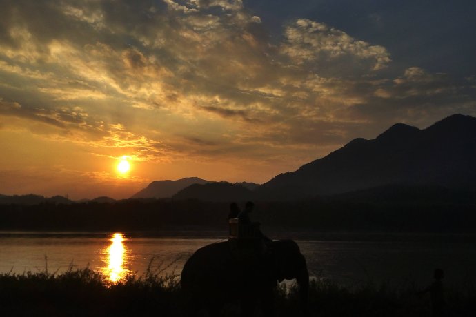 夕陽大象